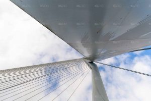 De Zwaan in de drup - Foto Erasmusbrug