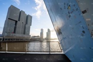 De Kop vanaf de Zwaan - Kop van Zuid
