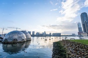 Drijvend bos naast het Paviljoen - Rijnhaven