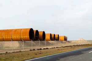 Buisies op de vlakte - Tweede Maasvlakte