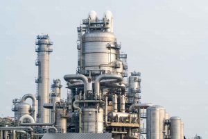 De grootste plant ter wereld - Tweede Maasvlakte