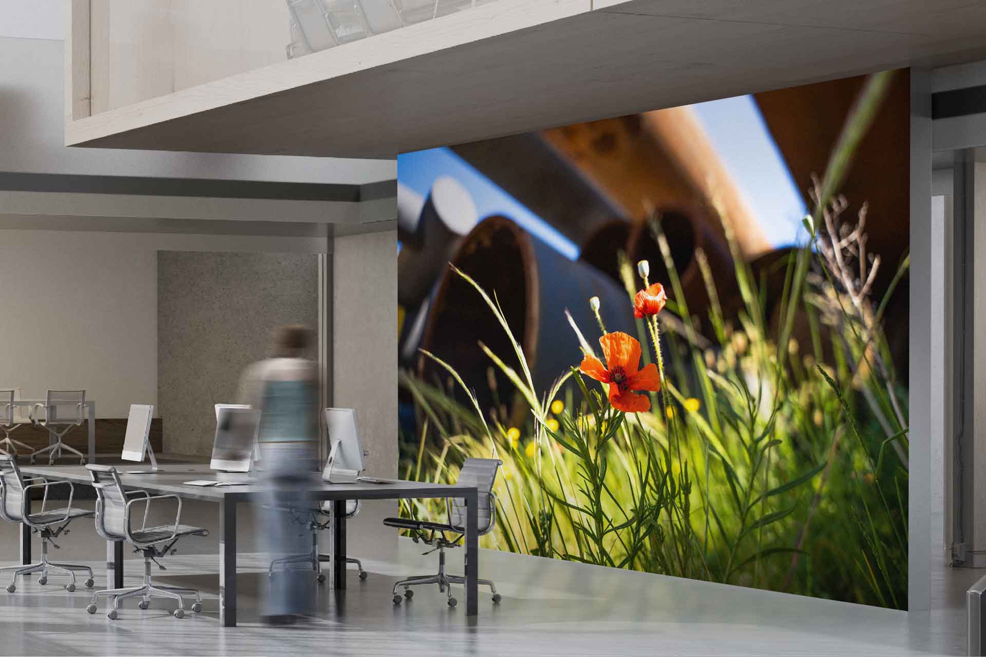 Roosje in de haven - Foto haven Rotterdam