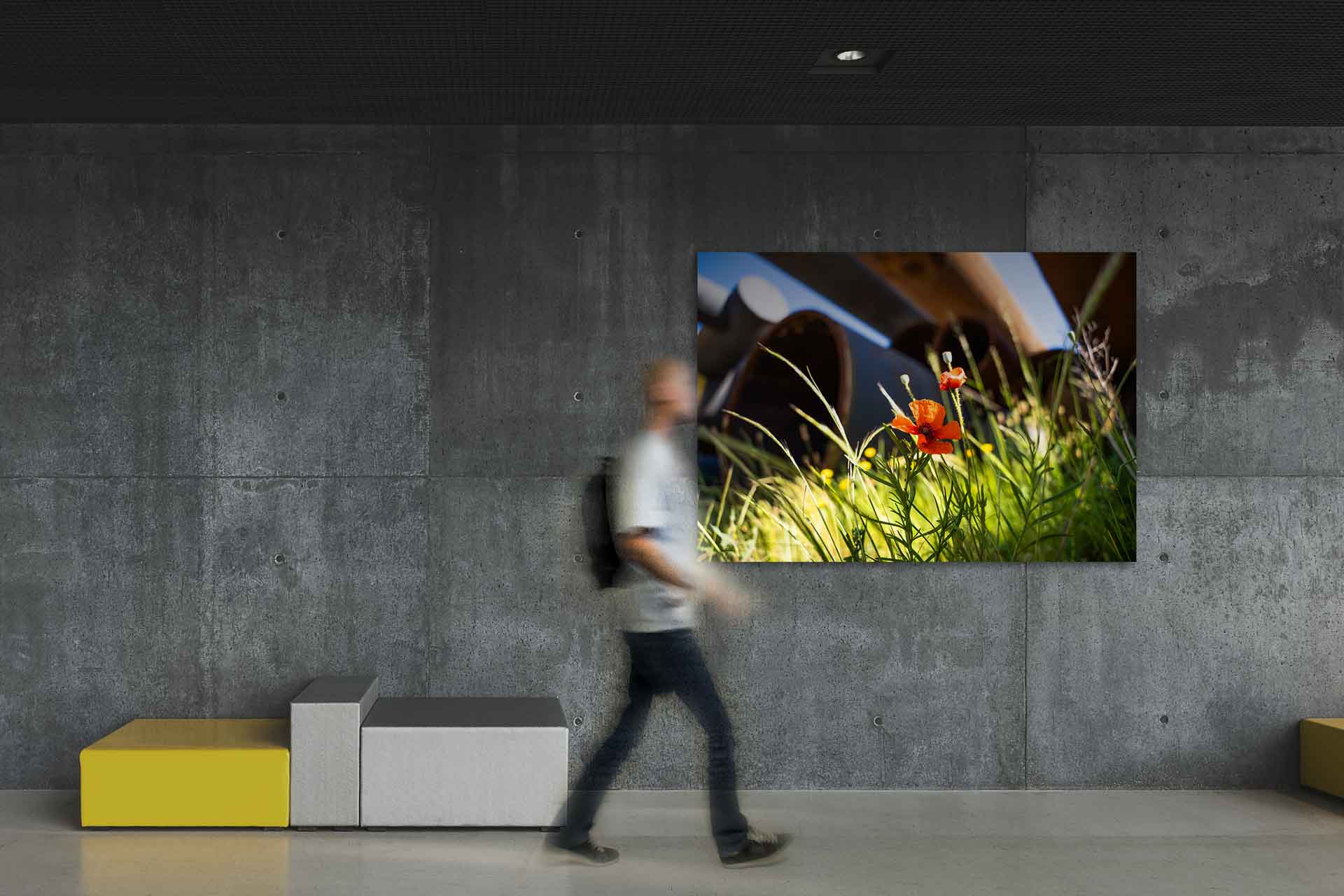 Roosje in de haven - Foto haven Rotterdam