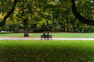 Samen in het park - Natuurgebied Rotterdam