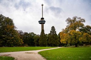 Het Euromast Park - Natuurgebied Rotterdam