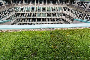Groen op het GHG - Groot Handelsgebouw