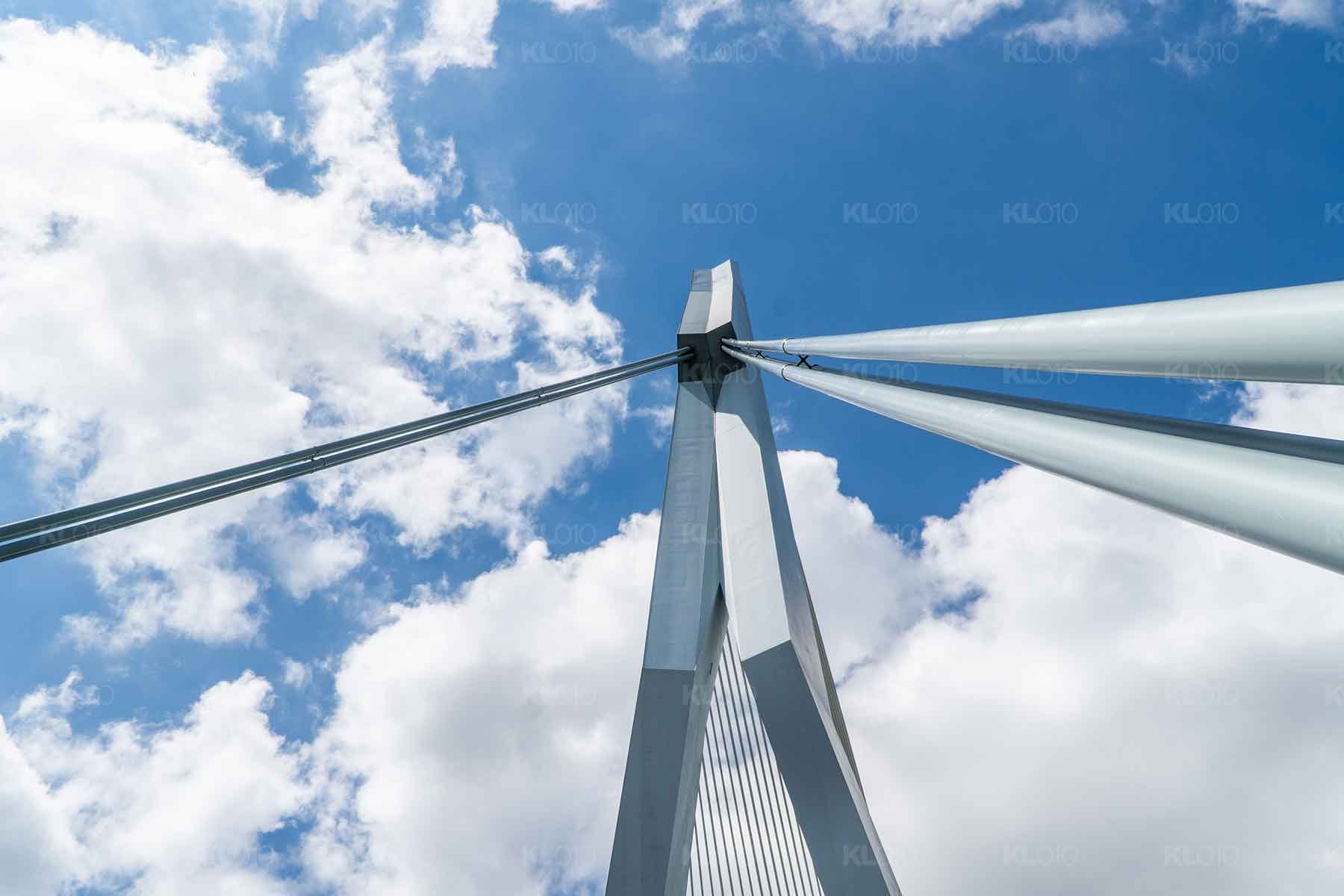 De prachtige Zwaan - Foto Erasmusbrug