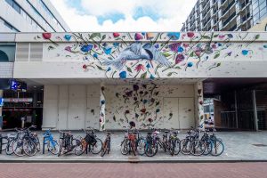 Kunst in de compositie - Straatkunst Rotterdam