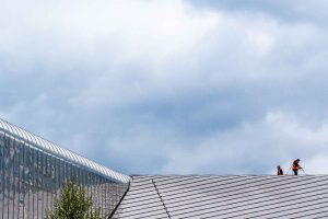 Doekie over het dakkie - Rotterdam Centraal Station