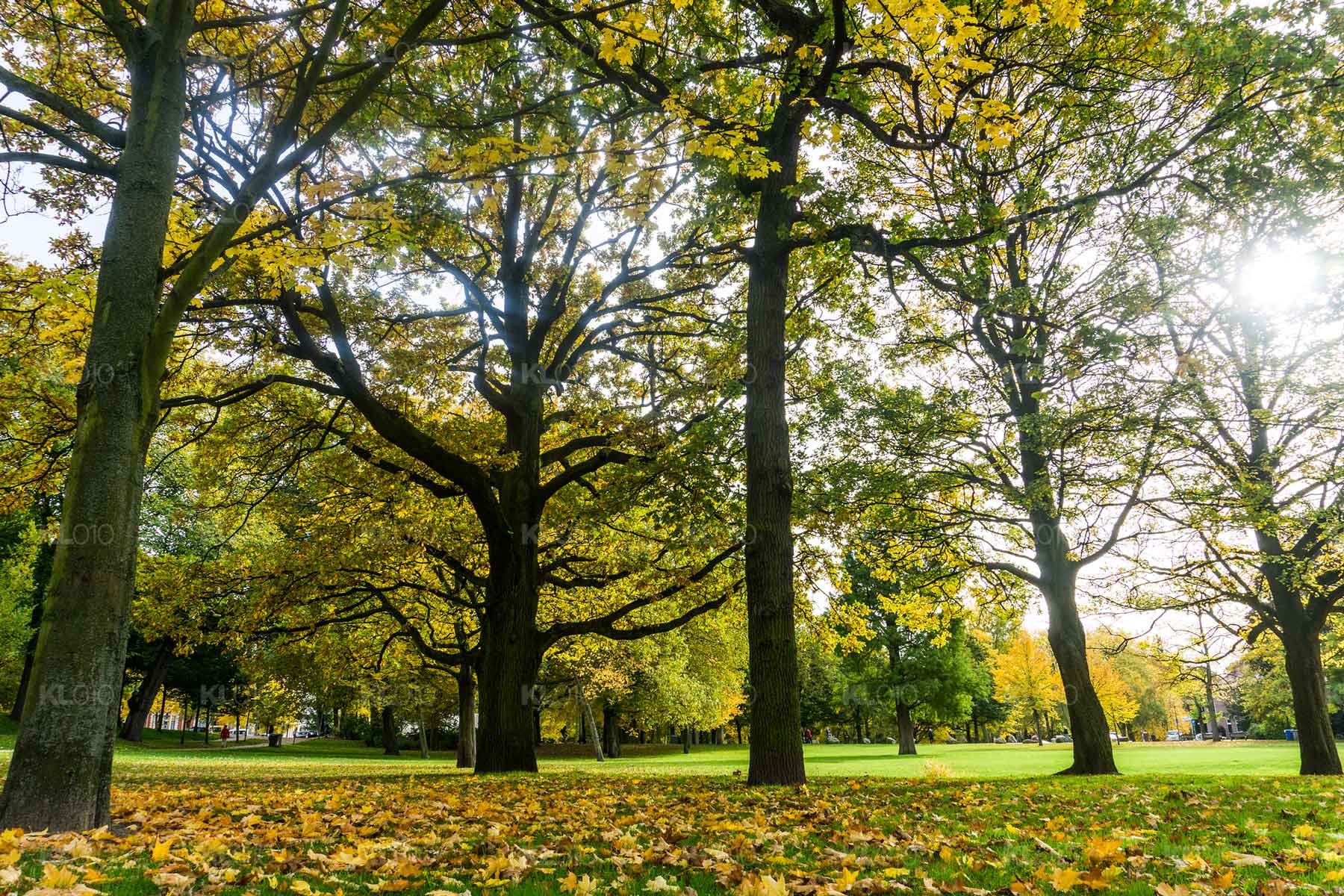 Herfst in het park - Euromastpark