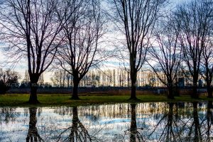 Reflectie voor de HSL - Zestienhoven