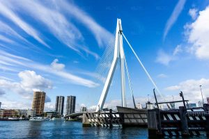 De Zwaan zonder de Zalm - Foto Erasmusbrug