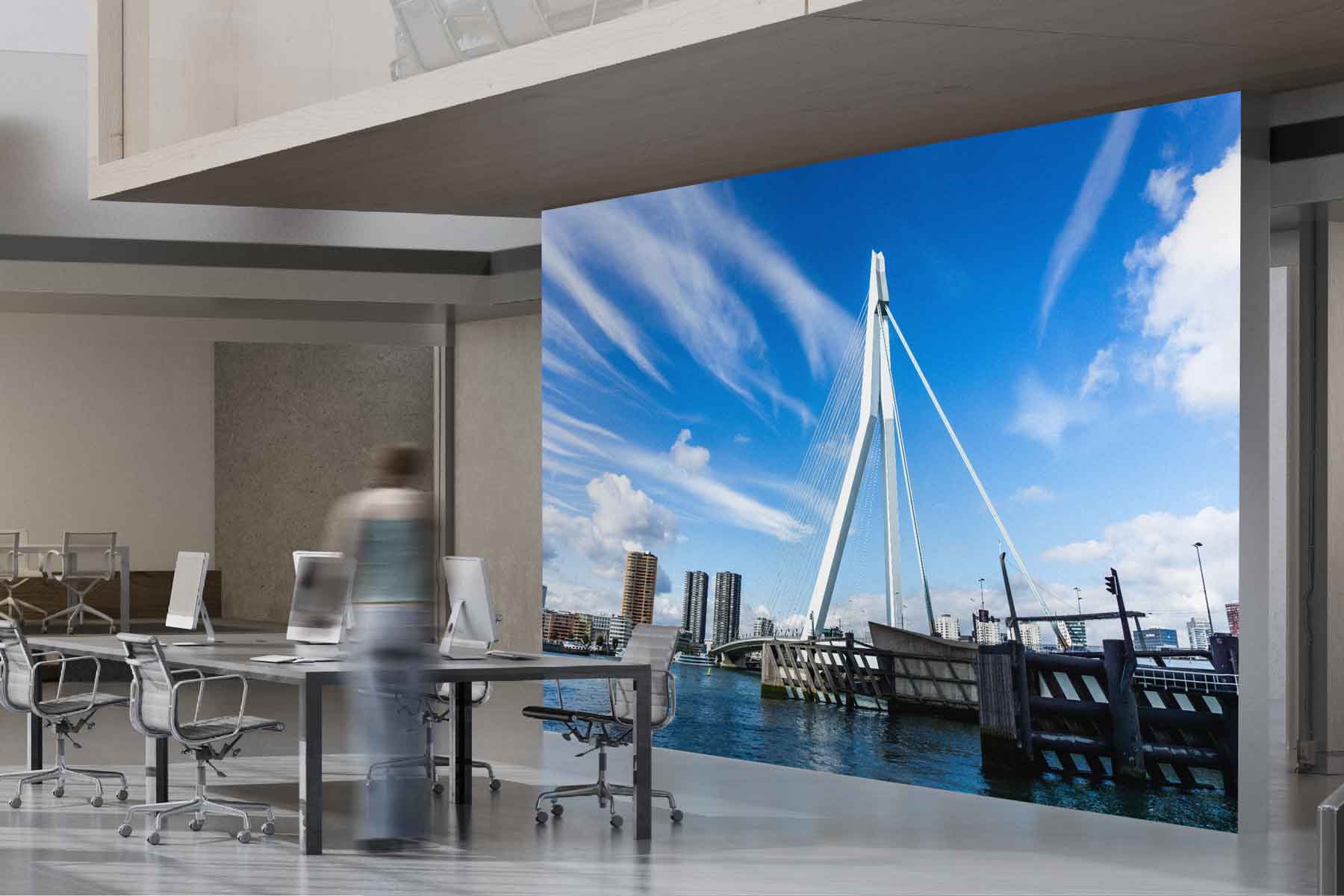 De Zwaan zonder de Zalm - Foto Erasmusbrug