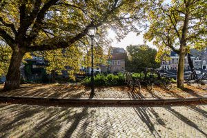 Boompjes aan de Aelbrechtskolk - Historisch Delfshaven