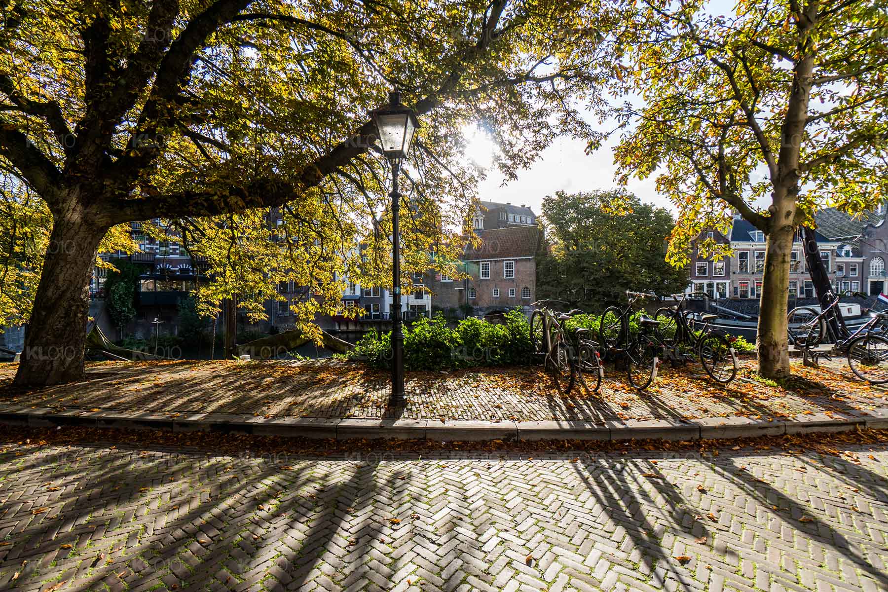 Boompjes aan de Aelbrechtskolk - Historisch Delfshaven