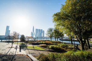 Skyline in het groen - Foto skyline Rotterdam