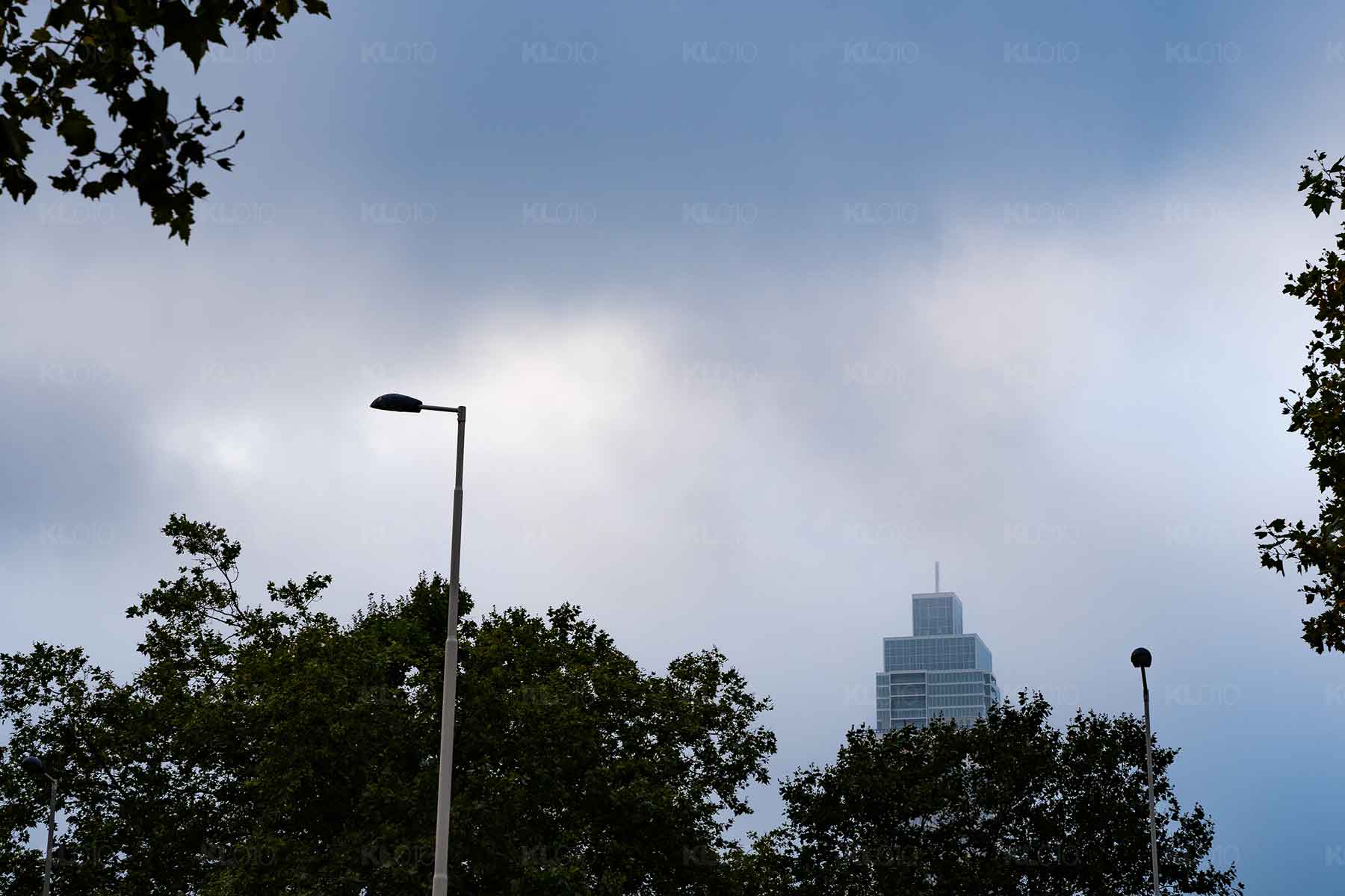 Topje van de Zalm - Zalmhaventoren Rotterdam