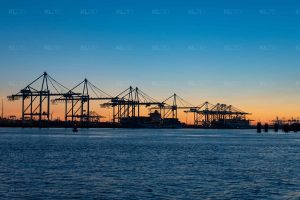 Kranen op de 2e Maasvlakte - Foto Haven Rotterdam