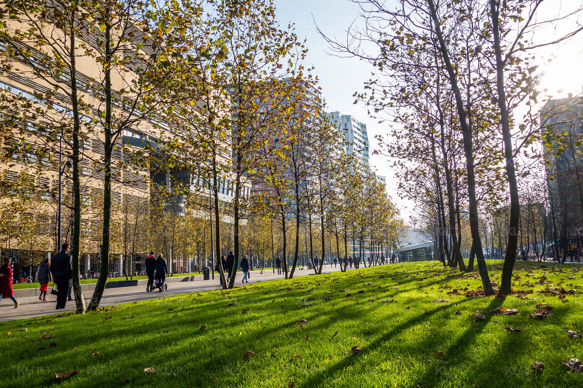 Groen op het Kruisplein - Rotterdam Centrum