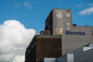 Vogeltjes bij Meneba - Brielselaan