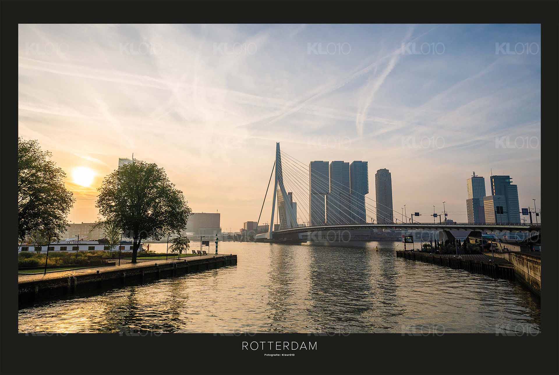 De Zwaan in de ochtendzon - Poster Erasmusbrug